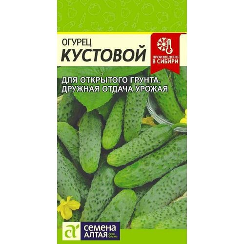 ���� ������ �������� 0,5� ������ �����, ������ �� 45 ���