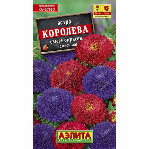 ���� ������� ����� 