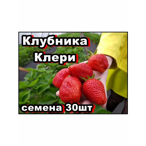 ���� ������ �������� ����� 30��, ������ �� 334 ���