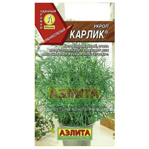 ���� ������. ����� 