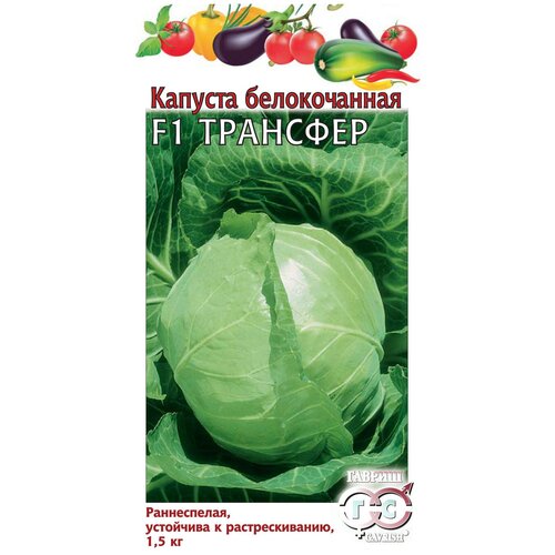 ���� ������� ������������ �������� F1 (�/� �����), ������ �� 33 ���