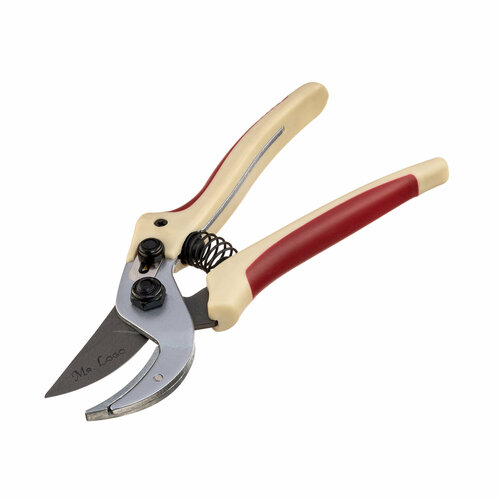 ���� ������� ������� ���������������� � ����������� Mr.Logo ���. 1600� (���� �� 18 ��), ������ �� 1650 ���