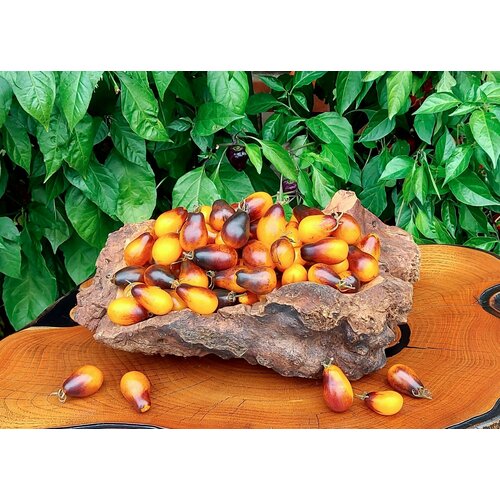       (Indigo Pear Drops) / Seeds And Goods /   zip-lock   15 ,   269 