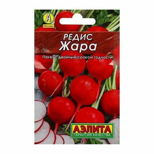 ���� ����� 