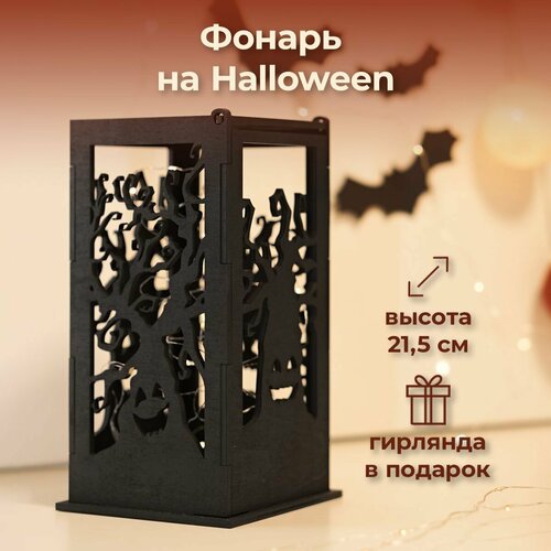 ���� ������ ���������� �� �������� � ���������, ������ �� 1200 ���