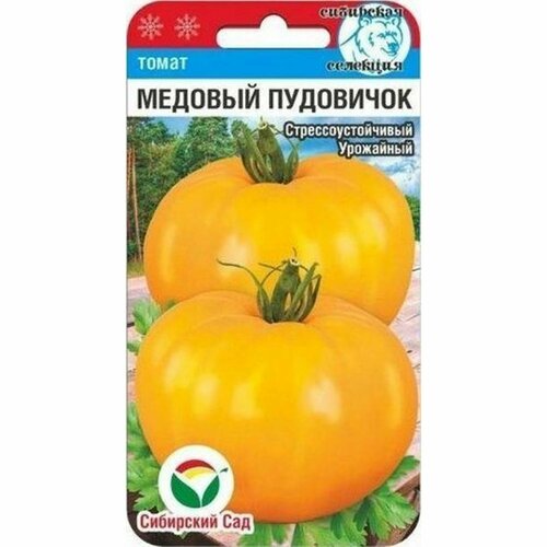 ���� ������ ����� ������� ��������� , ������������, (��������� ���) 20��, ������ �� 62 ���