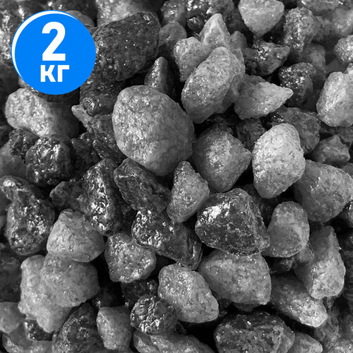 ���� ����������� ����� ��� ��������, ����������� � ��������, Zoo One, ��������� ��������, 