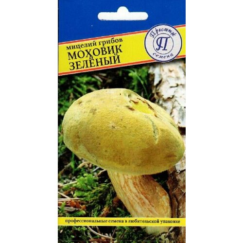 ���� ������� ������ (������� ������). ��������� � ��������� ������, ������ ������������ �������������������, ������ �� 349 ���