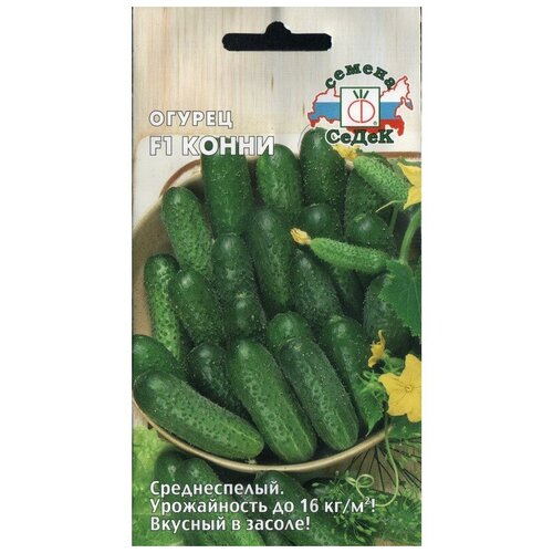 ���� ������ F1 �����, ������ �� 43 ���