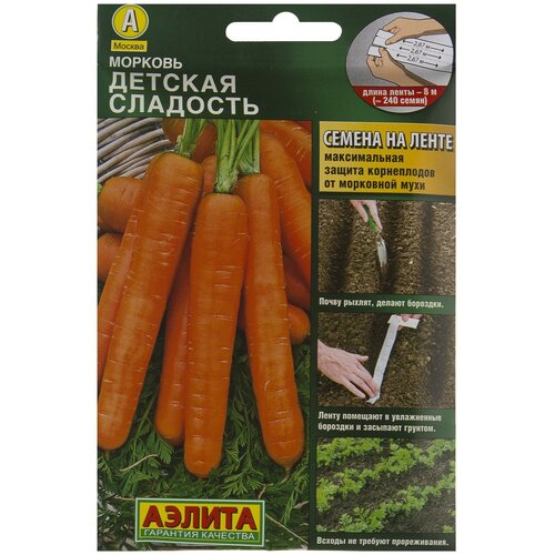 ���� ������ ������� ������� �������� (�����), ������ �� 337 ���