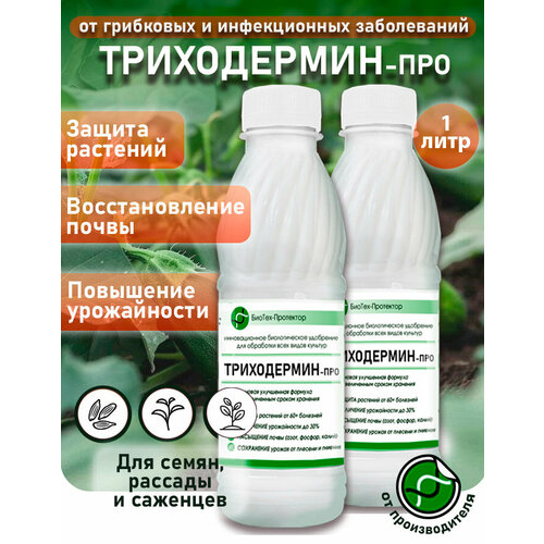 ���� ���������� ���������� - �����������-��� ������ 2�500�� ����������� ��������� ��� �������� ������-���������. ���������� �������, ������ �� 598 ���