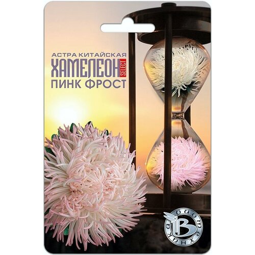 ���� ������ ����� �������� ������ ���� ����� ��������� 30�� (����������), ������ �� 145 ���