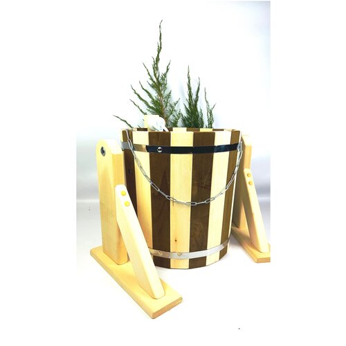 ���� �������� ���������� 15 � 