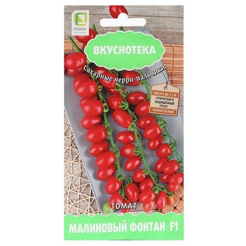 ���� ������ ����� 