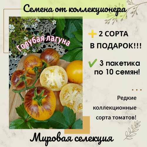 ���� ����� ������� ������, ����������������, ���������� ��������, ������ �� �������������, ������ �� 285 ���