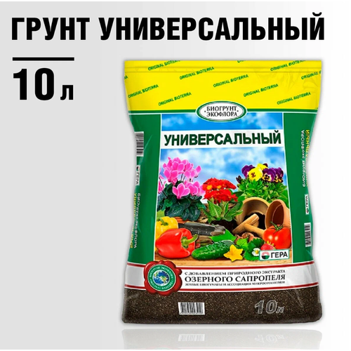 ���� ����� ��������� ������������� 10 � ����, ������ �� 333 ���