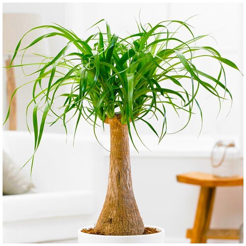 ���� ������ ��������� ���������� ������ ����, 5 ��, ������ �� 343 ���