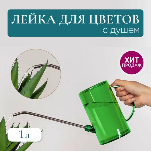 ���� ����� ��� ��������� ������ � ��������, ����� � ������� ������� ��� ������, ����������� � ���������, �������, 1�., ������ �� 650 ���