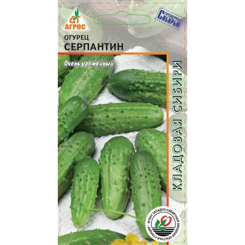 ���� ������ ������ ��������� 10�� �� ������ (�����), ������ �� 38 ���