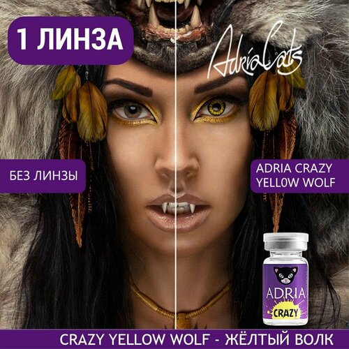 ���� ���������� ����� ADRIA Crazy, 1 ��., R 8,6, D 0, ADD: �������, yellow wolf, 1 ��., ������ �� 805 ���