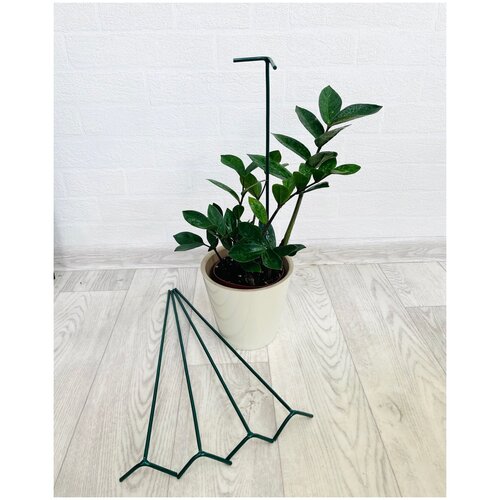 ���� ��������� ������ ���������� 40 ��! 