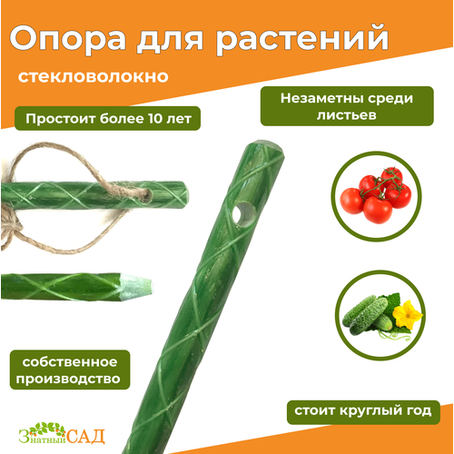 ���� ������� � ���������� ��� �������, 1,5�/ �������������, 30 ����, ������ �� 5090 ���