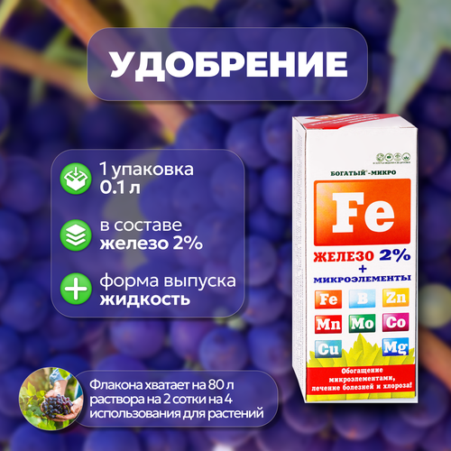 ���� ����������� ����������� ��������� 