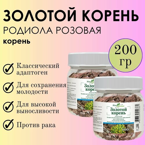 ���� ������� ������ �������� ��������� - ��������� �� 