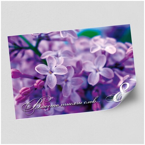  /   8 ,  -0 (119x84 .),   1650 