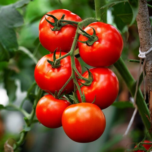 ���� ����� ���� F1, ������ �������������� ������������� ������ � ������� ����������� ������ ������ � ������������� � ������������, 10 �����, ������ �� 278 ���