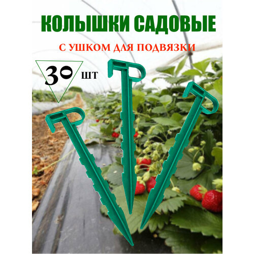 ���� ������� ������� �������� 30 ��, ������ �� 520 ���