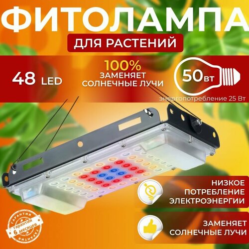 ���� ��������� ��� ����������� �������� ������� ������ ������ �������������� ������������, ����� ��������� ��� ������ � ��������, ������ �� 1590 ���