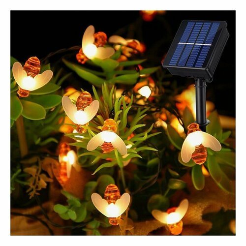 ���� ������� �������� �� ��������� ������� 