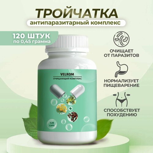 ���� ���������������� ���� ���� ���������. �������� ������ 120 ������, ������ �� 699 ���