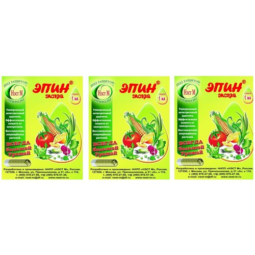 ���� ���������� ����� �������� ���� ������ 1 ��, 3 ��., ������ �� 170 ���