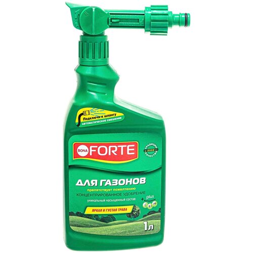   BONA FORTE  ,    , 1 , 1375 , 1 .,   1339 