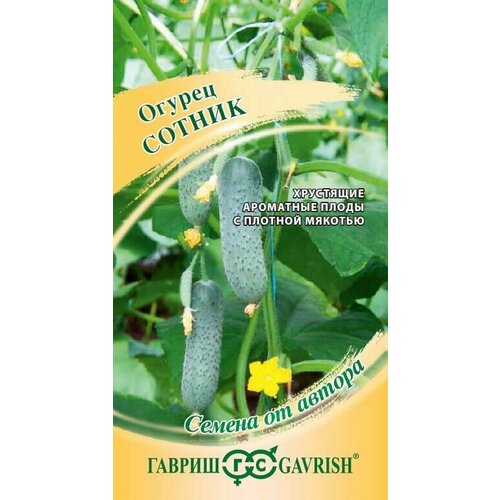 ���� ������ ������ ������ F1 5�� ������������������ ������ (������) ����� �24, ������ �� 40 ���