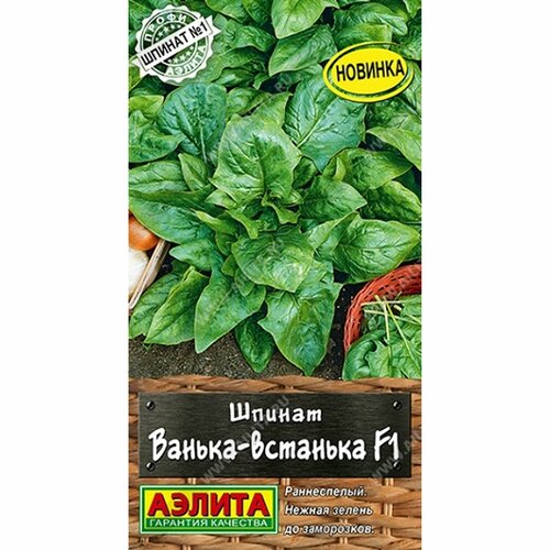 ���� ������ ������ ������-�������� F1 (������) 1� �����-������, ������ �� 53 ���