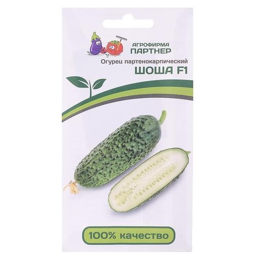 ���� ������ ��������� ������� ������ ���� F1 5 ��, ������ �� 219 ���