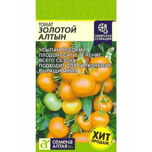 ���� ����� 