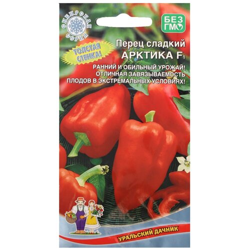 ���� ������ ����� ������� 