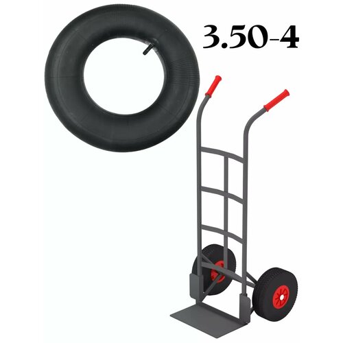 ���� ������ ��� ������ �������, ������ �� 310 ���