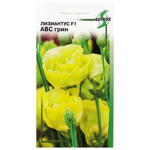 ���� ������ ��� ����� ��������� F1 (�������) ��� ����, 5 ��, ������ �� 300 ���