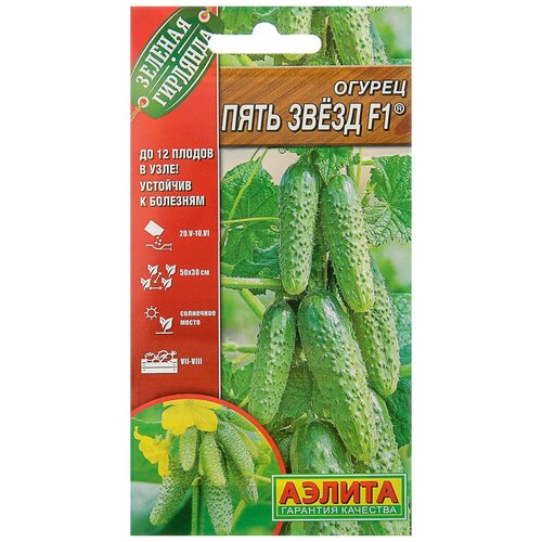 ���� ������ ������ 