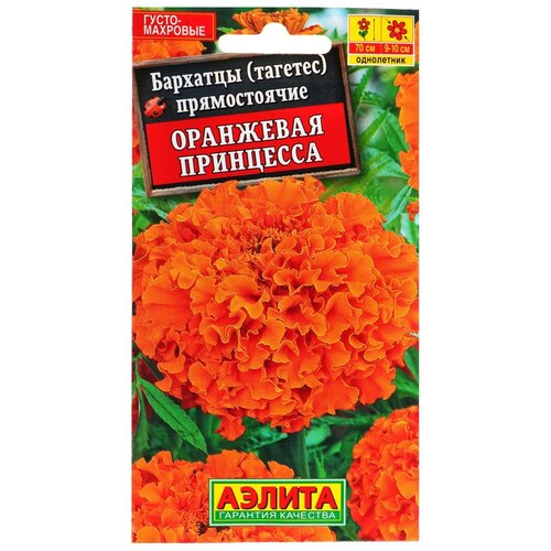 ���� ������ ������ �������� 