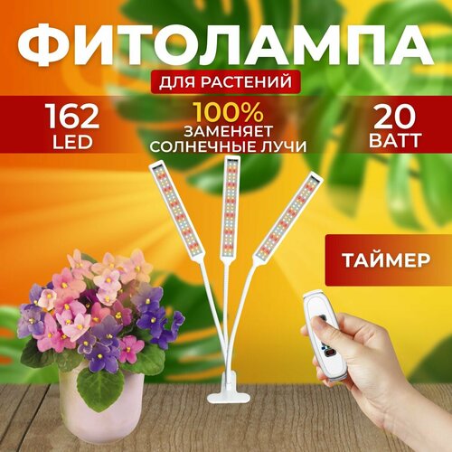 ���� ��������� ��� ����������� �������� ������� ������ ������ �������������� ������������ ��� ������ �� ������ ������� � ��������� � ��������, 3 �����, ������ �� 3600 ���