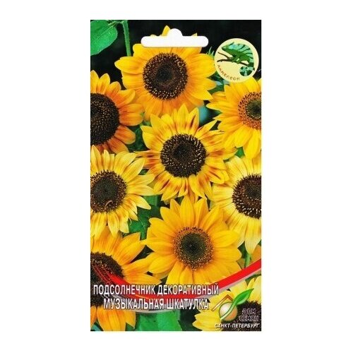 ���� ������������ ������������ ����������� ��������, 10 �����, ������ �� 235 ���