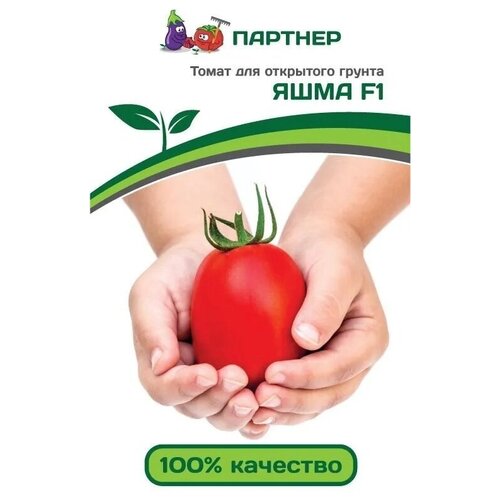 ���� ������ ����� 