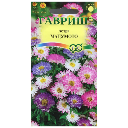 ���� ������. ����� 