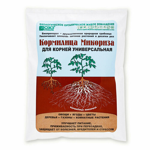 ���� ��������� �������� ���������� - 1 �, ������ �� 150 ���